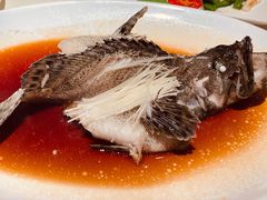 石锅古法蒸老虎斑-利苑酒家(华熙国际店)