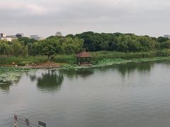 -长广溪湿地公园