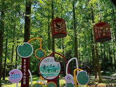 -东平国家森林公园