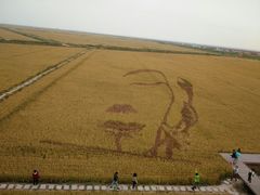 -红海滩国家风景廊道