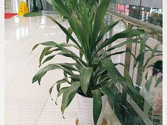 -金时代顺风大酒店(金山店)