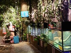 -zoonana室内动物园(东方福来德店)
