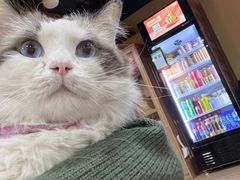 -白兔子密室(长寿路店)