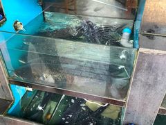 -全乐鱼馆·淳牌有机鱼直营店