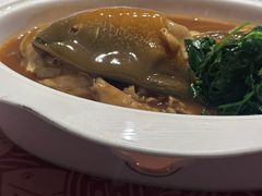 -沈灶河豚宴·河豚融合餐厅(汉中路店)
