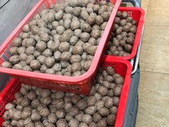 -伟记牛肉(金鸿公路店)