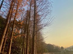 -长广溪湿地公园