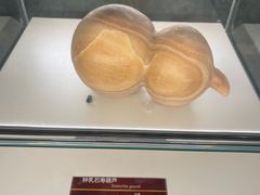 -泉城欧乐堡海洋极地世界