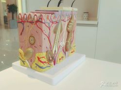 -松和日式美容整骨