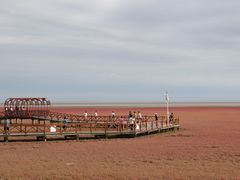 -红海滩国家风景廊道