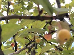 -滨寿司(高新伊藤店)