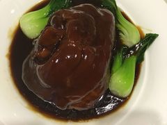 -碧丽宫大酒店(召稼楼店)