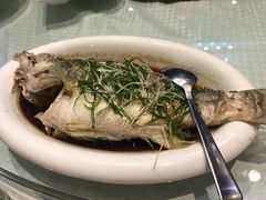 -渝半城经典川粤菜(重庆天地店)