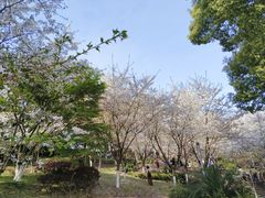 -南山植物园