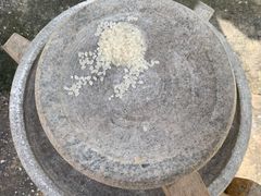 -前小桔亲子创意农场·草莓采摘·露营烧烤