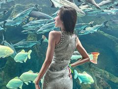 -波塞冬旅游度假区