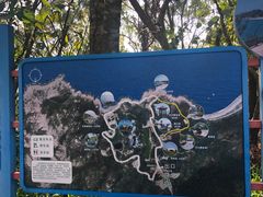 -广东惠东海龟国家级自然保护区