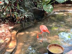 -海南热带野生动植物园