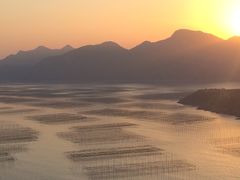-小皓村