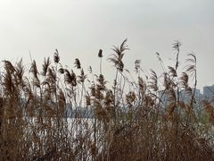 -上海山野camping·户外天幕烧烤·团建拓展营地