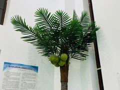 -茶大椰·椰子茶(星悦荟店)