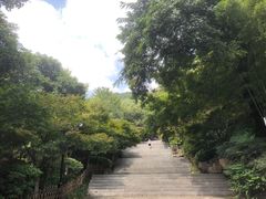 -岳麓山风景名胜区