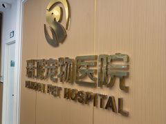 -瑞派康怡24h宠物医院·犬猫医疗中心·微创绝育(瑞景分院)