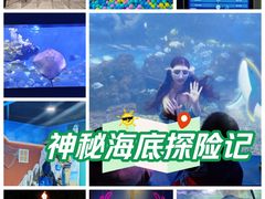 -重庆欢乐海底世界