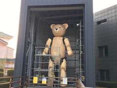 -济州岛泰迪熊博物馆