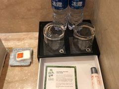 -上海浦东绿地铂骊酒店