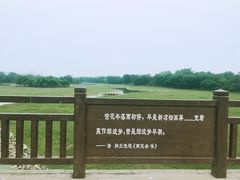 -北京麋鹿生态实验中心