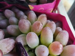 -马陆小张葡萄园农家乐