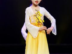 -红舞鞋舞蹈教育(近江校区)