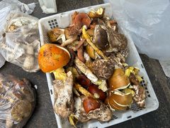 -杨记山珍鸡煲菌汤锅