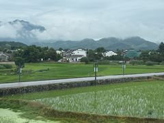 -黄牛肉馆·皖南土菜