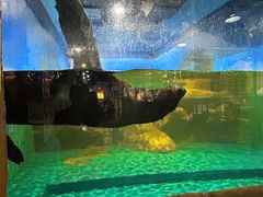 -顺德南宏海立方海洋公园