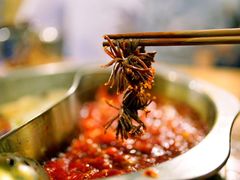 -岗上渣渣老火锅(两路口店)