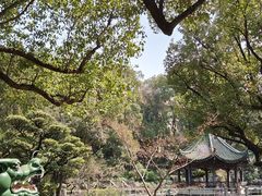 -申粤轩酒楼·三十年粤菜经典(丁香花园店)