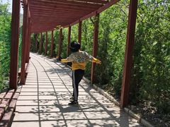 -东方巨龟苑景区