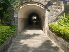-长洲岛