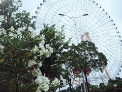 -南昌之星摩天轮