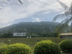 -亚龙湾国际玫瑰谷