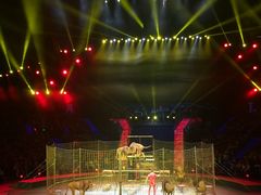 -珠海横琴长隆《卡卡虎奇遇记》