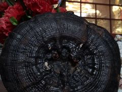 -青芝山风景名胜区