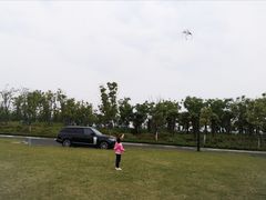 -春花秋色城市公园