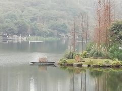 -重庆彩云湖湿地公园