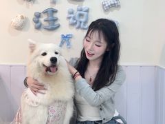 -汪说·狗咖·拼豆·宠物周边DIY(旺城大厦店)