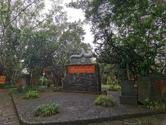 -海口火山口国家地质公园