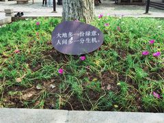 -同里国家湿地公园