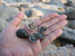 -三亚南山文化旅游区